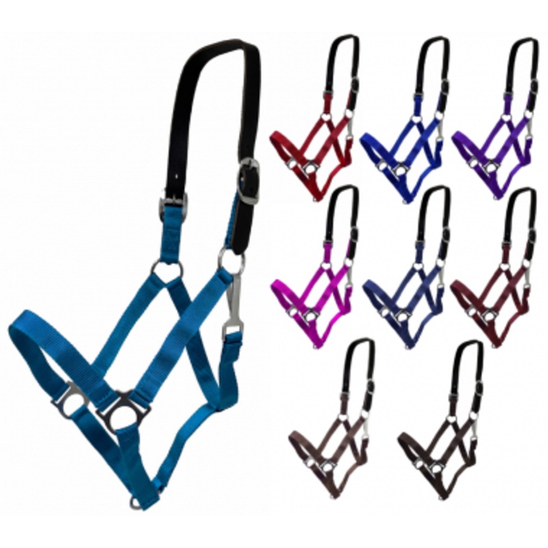 Rugged Ride Breakaway Turnout Halter