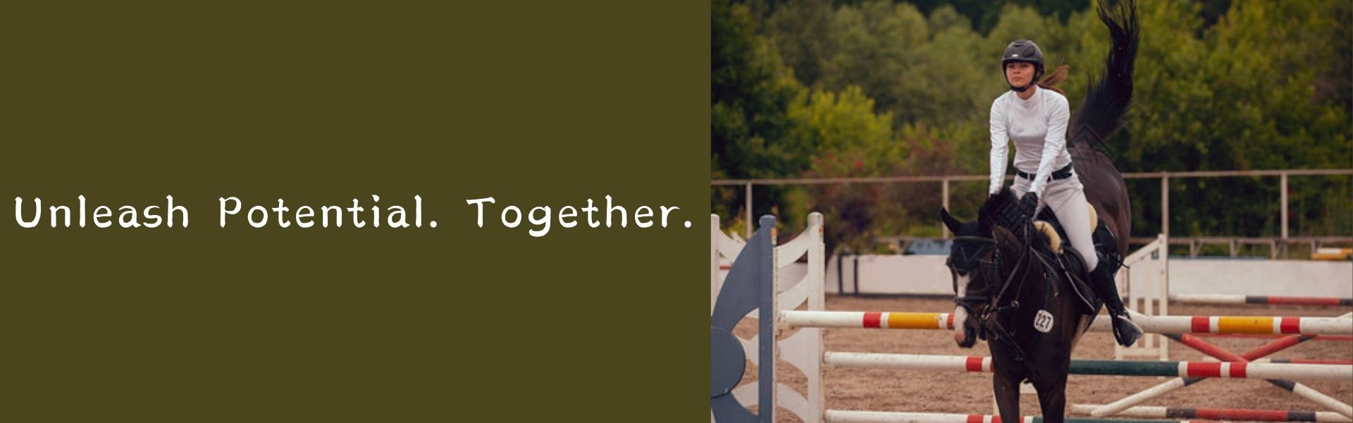 Stable Accessories and Equine Care Supplies | Comprehensive Gear for Horse Stables, Riding, and Daily Maintenance